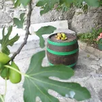 Prázdninový dům Geraeumige Mit Drei Schlafzimmern Und Einem Ruhigen Garten By Interhome *